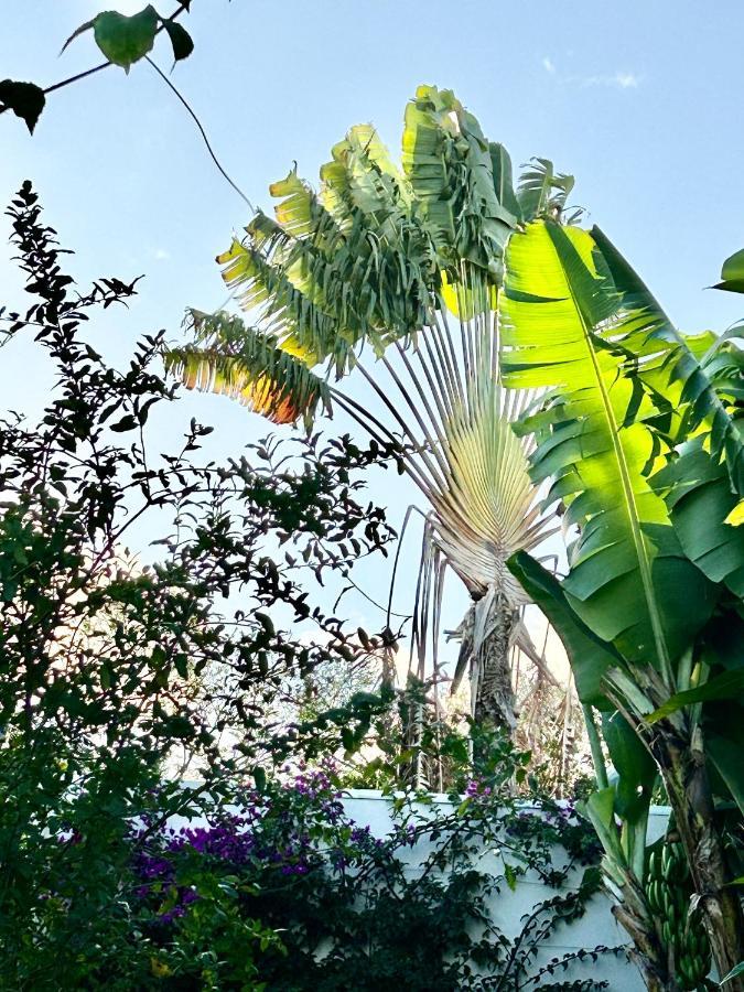 Villa Mango 150 Metres Plage A Pied Sainte-Luce Kültér fotó